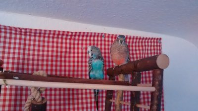 Foto kann durch anklicken vergrößert werden